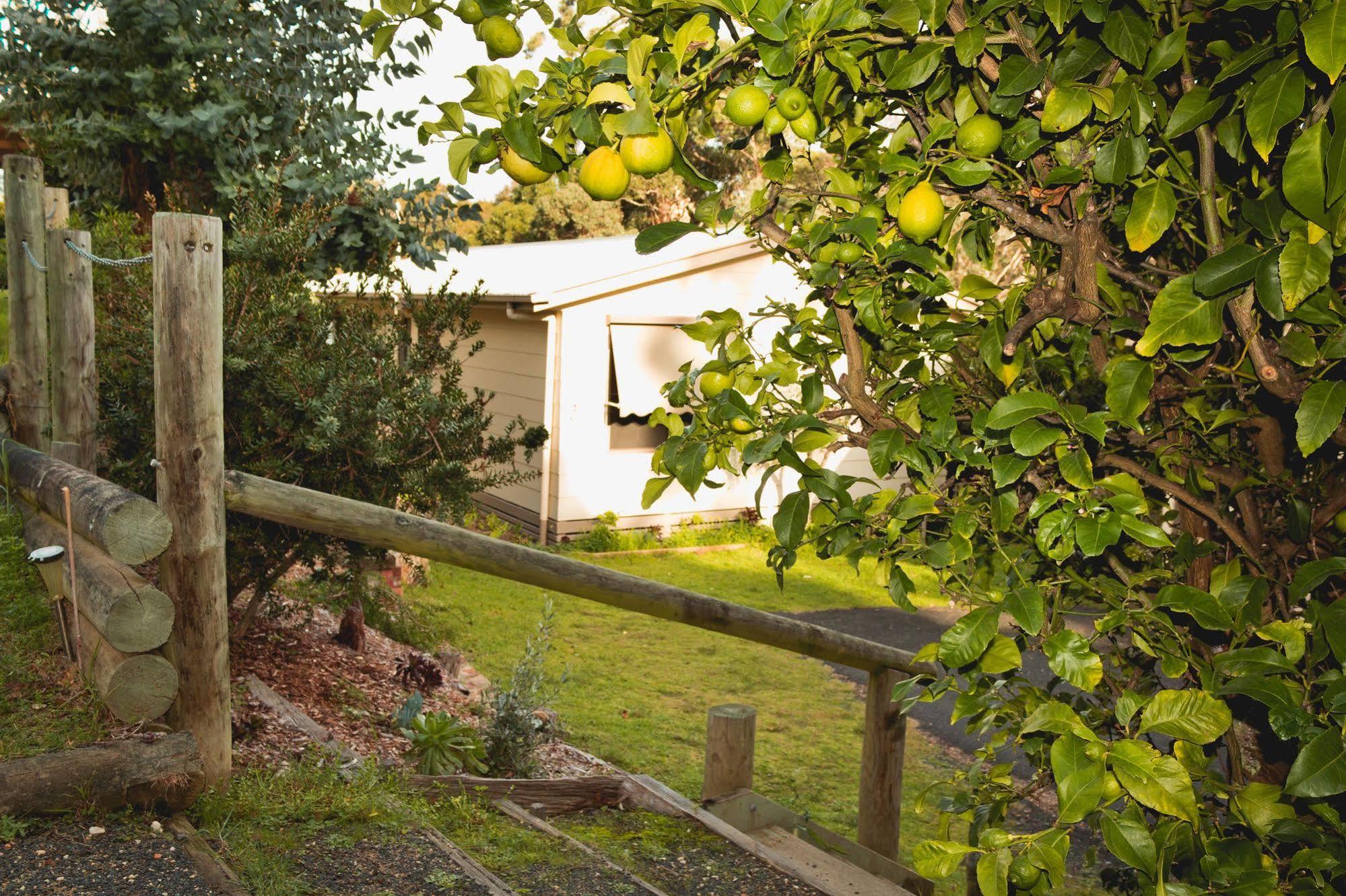 דירות Nungurner Jetty Road Retreat מראה חיצוני תמונה